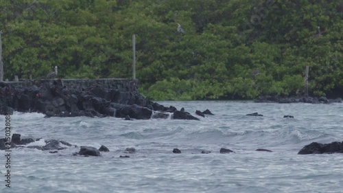 Telephoto shot of Slow motion waves hitting rocks in tortuga bay beach Galapagos