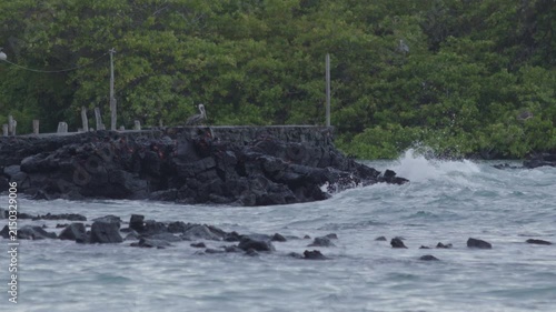 Telephoto shot of Slow motion waves hitting rocks in tortuga bay beach Galapagos
