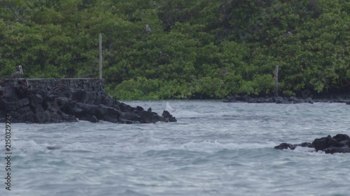 Telephoto shot of Slow motion waves hitting rocks in tortuga bay beach Galapagos