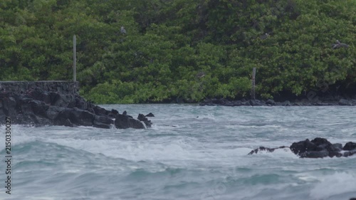 Telephoto shot of Slow motion waves hitting rocks in tortuga bay beach Galapagos