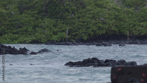 Telephoto shot of Slow motion waves hitting rocks in tortuga bay beach Galapagos
