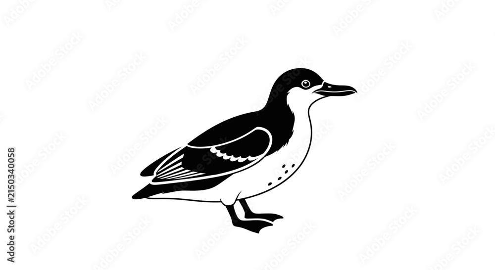 Obraz premium Black and White Illustration of a Guillemot Bird on White Background
