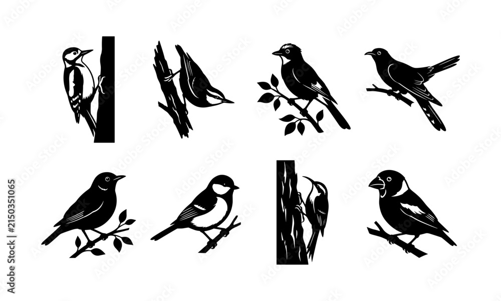 Fototapeta premium Set of black and white silhouettes of various small forest birds