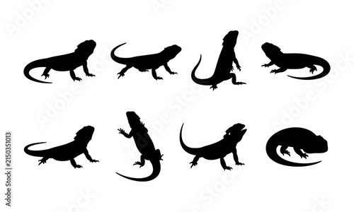 Set of black silhouettes of bearded dragons in various different poses