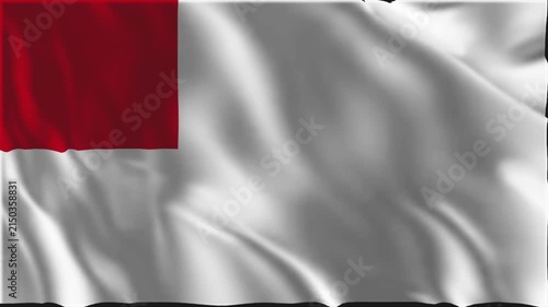 Flag of Bilbao waving slowly in the foreground.