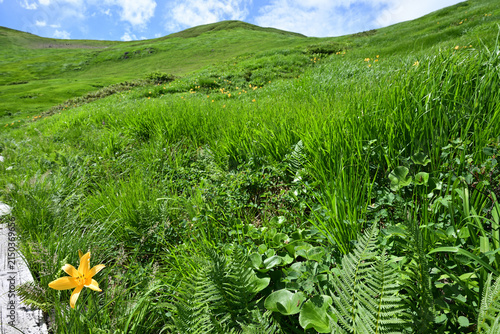 Climbing Mt. Gassan, Yamagata, Japan