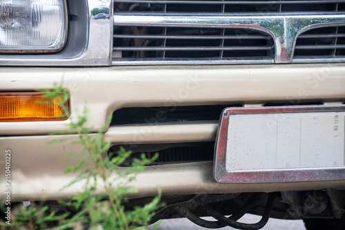 Canvastavla Classic car front detail with greenery