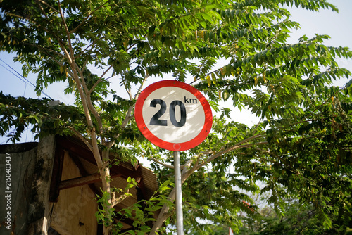 speed limit sign indicating 20 km/h, surrounded by lush green trees on rural countryside road