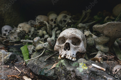 Human skulls and skeletal remains preserved inside the ancient stone burial site of Bori Parinding in North Toraja Indonesia