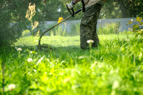 Foto Lush green grass shivers under a grass cutter's path