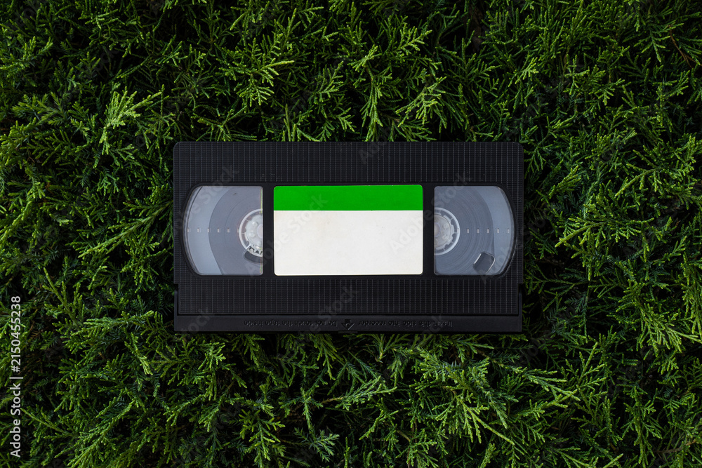 Obraz premium Vintage VHS video tape on green branches