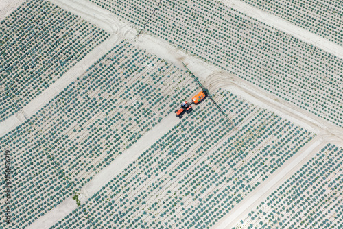 Watering of crops with a tractor.