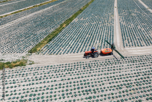 Watering of crops with a tractor.
