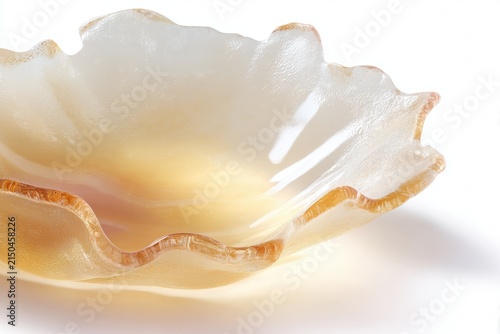 Translucent Jelly Texture Sheet Isolated on White Background