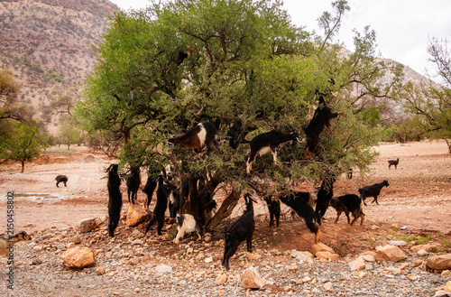 Scenic view of Morocco