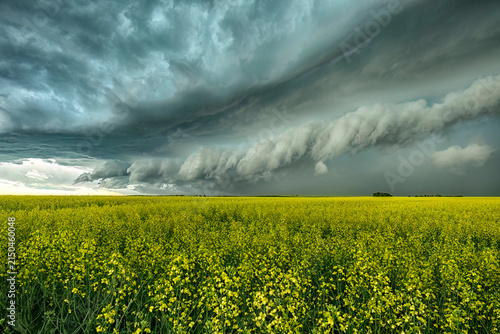 Storm clouds over the field