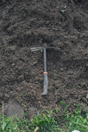 Принти на полотні A metal garden hoe rests on freshly turned soil in a garden