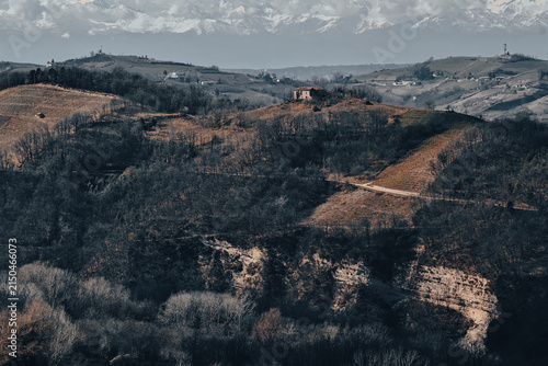 Bild auf Leinwand Rolling rural hills with bare winter trees, patchwork fields, distant mountains,