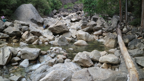 stream in the forest