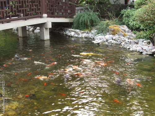 Chinese Garden