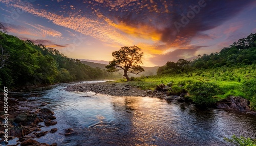 serene river flowing through a lush forest with a majestic tree at the center bathed in the golden light of a rising sun as clouds and stars paint the sky with hues of wonder