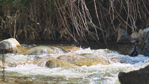 Fast-moving water rushes over river stones