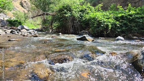 Mountain stream rushing over rocks