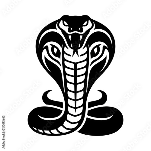 Black and white skull with crossbones symbol illustration.
