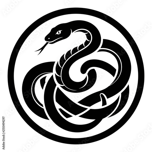 Black and white swirling smoke artistic design.