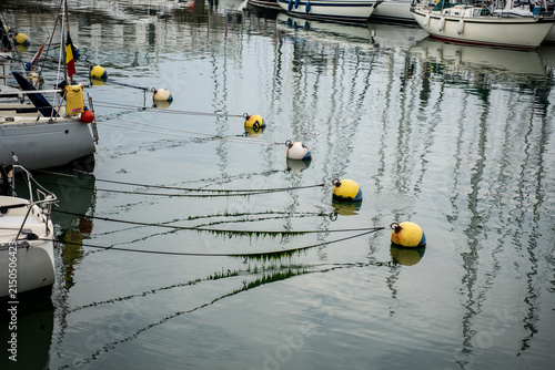 Mooring buoys and ropes covered in green algae with sailboats in a marina port.
