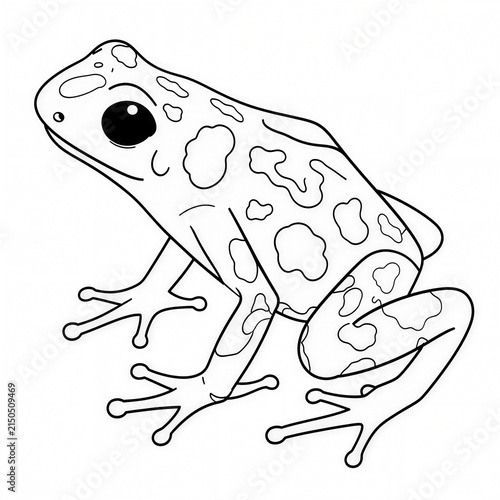 Toad