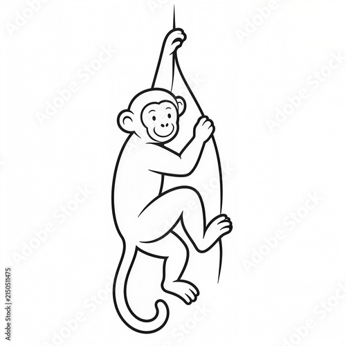 Monkey Swinging