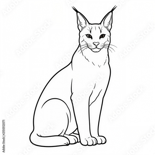 Caracal