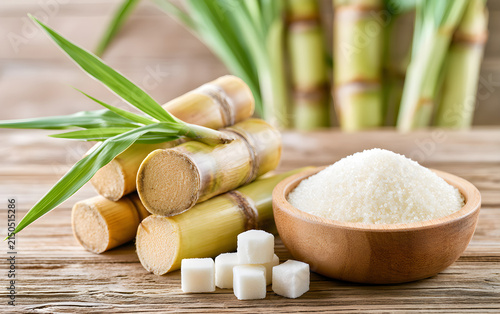 White sugar with fresh sugar cane on wooden table with sugar cane plantation farming background.
