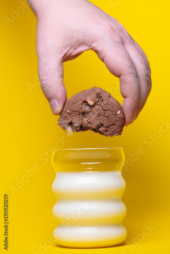 Fotografie Hand lowering a chocolate chip cookie toward a white jar filled with milk on a yellow background