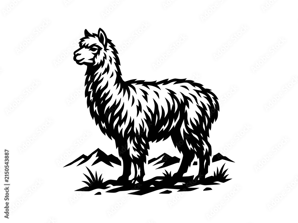 Fototapeta premium Stylized Black and White Alpaca Vector Illustration for Agriculture and Nature - Monochromatic Animal Line Art