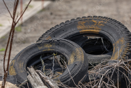 Worn-out tires with faded yellow paint abandoned among dry branches and wooden debris on a sunlit roadside.