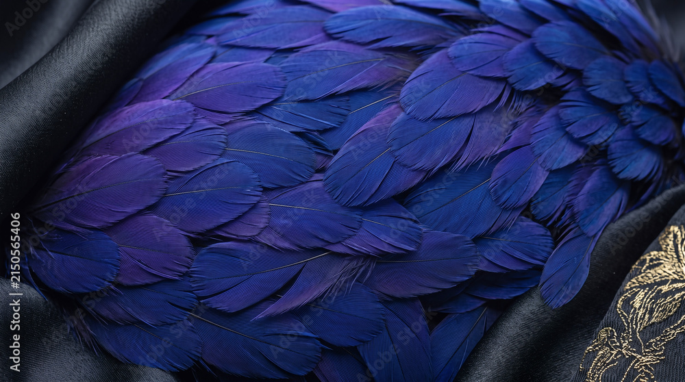 Obraz premium Macro close up of iridescent blue peacock feathers with intricate natural wave patterns.