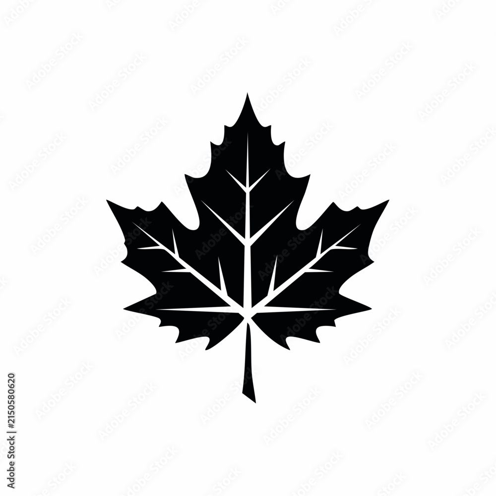 Fototapeta premium Black Maple Leaf Silhouette Botanical Vector