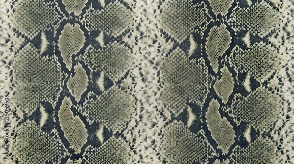 Obraz premium close up textured snake skin pattern scales green beige dark shapes background