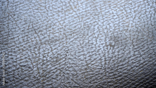 Detailed close-up of cracked gray leather texture with organic vein-like pattern.