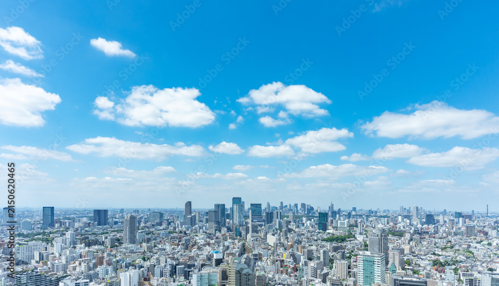 Obraz premium 東京風景