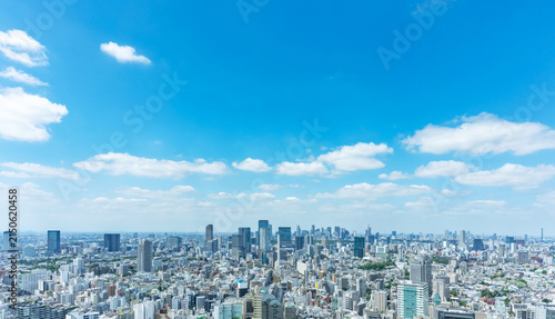 Obraz na płótnie 東京風景