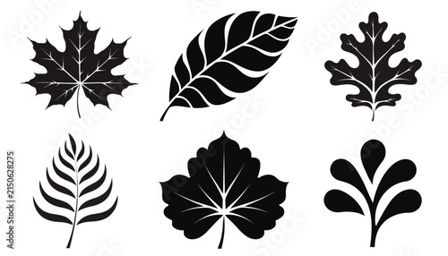 Set of six black leaf silhouettes on white background, botanical icons