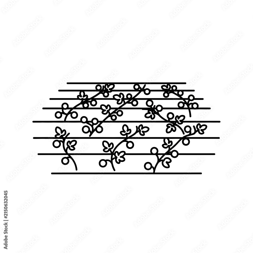 Fototapeta premium Musical Vine Plant Graphic Isolated Transparent Background