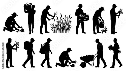 Set of silhouettes of farmers harvesting crops and working in the field vector illustration