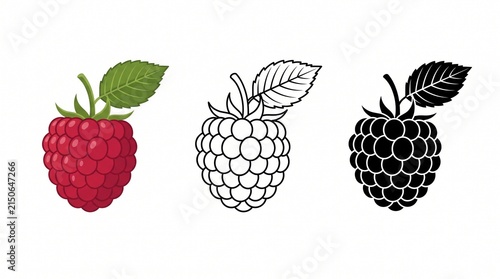 Raspberry fruit icons set, red berry with green leaf, black silhouette and line art raspberry illustrations on white background