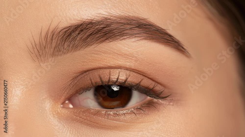 Close up of a natural brown eye with detailed eyelashes and eyebrow highlighting human beauty and skin texture