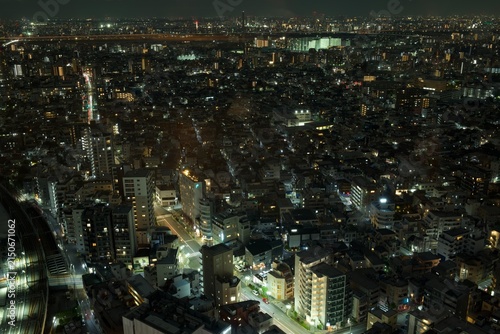 Quadro su tela 東京スカイツリーが街並みにそびえ立つ現代的で魅力ある都市風景  
Tokyo Skytree rising above the surrounding city