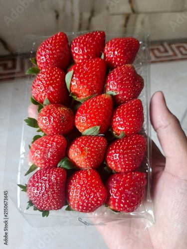 Bild auf Leinwand a hand holdinh strawberries in a plastic pack